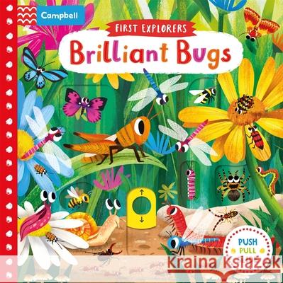 Brilliant Bugs Campbell Books 9781509855131 Pan Macmillan - książka