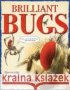 Brilliant Bugs John Farndon 9781910684825 Hungry Tomato Ltd