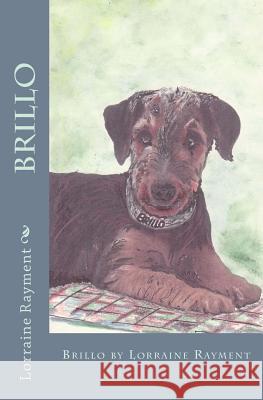 Brillo Lorraine Rayment 9781505505061 Createspace - książka