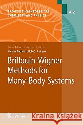 Brillouin-Wigner Methods for Many-Body Systems Ivan Hubac Stephen Wilson 9789048133727 Springer - książka