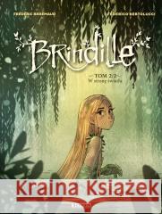 Brindille T.2 W stronę światła Frederic Brremaud 9788367161800 Scream Comics - książka