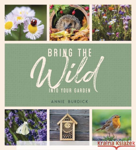 Bring the Wild into Your Garden: Simple Tips for Creating a Wildlife Haven Annie Burdick 9781787836679 Summersdale Publishers - książka