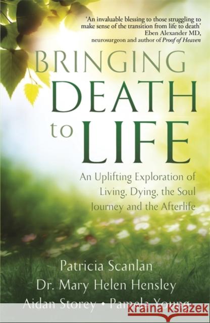 Bringing Death to Life: An Uplifting Exploration of Living, Dying, the Soul Journey and the Afterlife Pamela Young 9781473681934 Hachette Books Ireland - książka