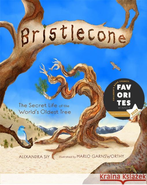 Bristlecone: The Secret Life of the World's Oldest Tree Siy, Alexandra 9781970039030 Web of Life Children's Books - książka