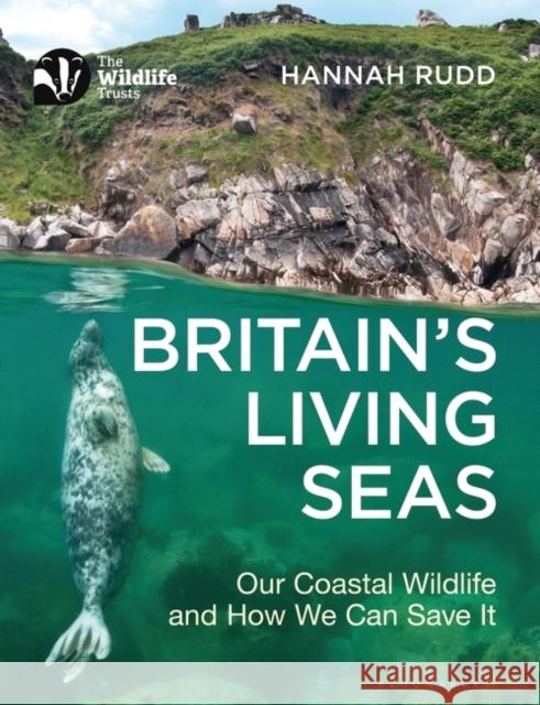 Britain's Living Seas: Our Coastal Wildlife and How We Can Save It Hannah Rudd 9781472988492 Bloomsbury Publishing PLC - książka