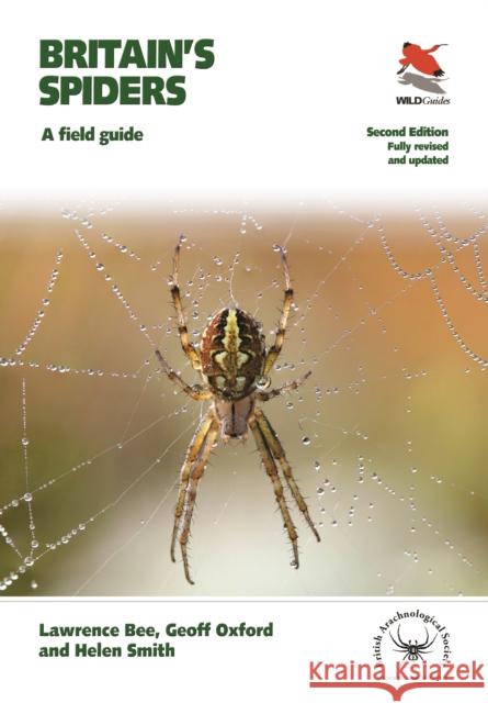 Britain's Spiders: A Field Guide - Fully Revised and Updated Second Edition Lawrence Bee Geoff Oxford Helen Smith 9780691204741 Princeton University Press - książka