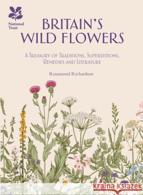 Britain's Wild Flowers: A Treasury of Traditions, Superstitions, Remedies and Literature Rosamond Richardson 9781909881921 HarperCollins Publishers - książka