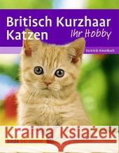 Britisch Kurzhaar Katzen Betz, Anita  Kieselbach, Dominik  9783800169740 Ulmer (Eugen) - książka