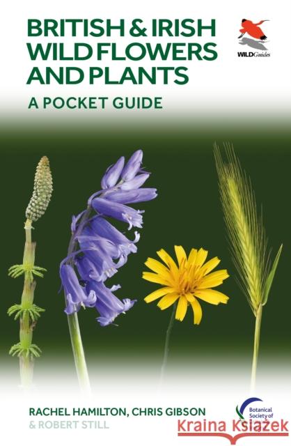 British and Irish Wild Flowers and Plants: A Pocket Guide Hamilton, Rachel 9780691245409 Princeton University Press - książka