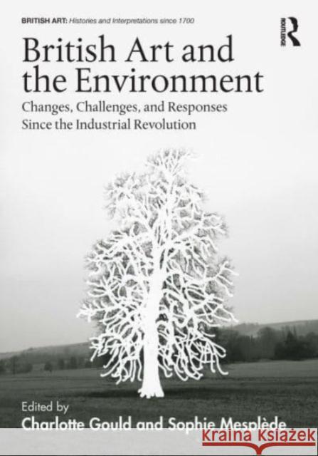 British Art and the Environment: Changes, Challenges, and Responses Since the Industrial Revolution Charlotte Gould Sophie Mespl?de 9780367567422 Routledge - książka