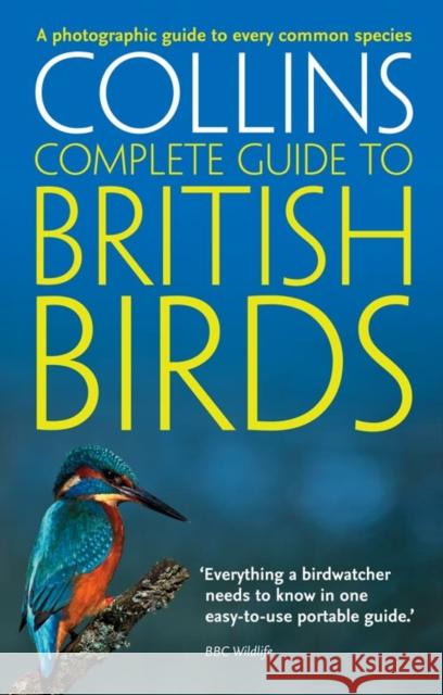 British Birds: A Photographic Guide to Every Common Species  Sterry 9780007236862 HarperCollins Publishers - książka