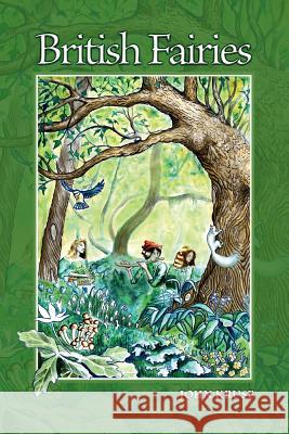 British Fairies John Kruse 9780995547858 Green Magic - książka