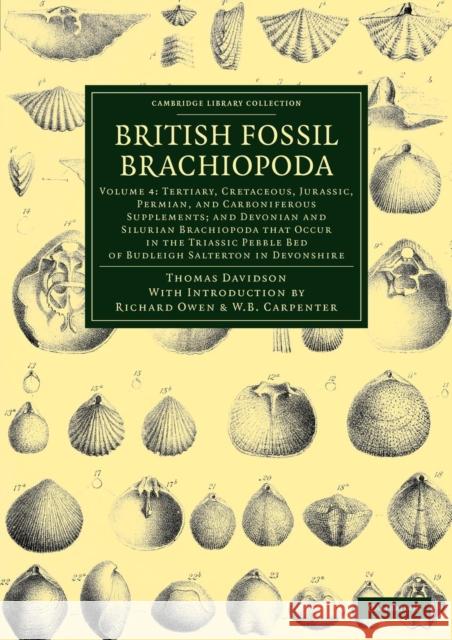 British Fossil Brachiopoda Thomas Davidson Richard Owen William Benjamin Carpenter 9781108038201 Cambridge University Press - książka