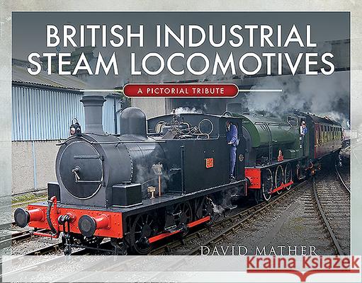 British Industrial Steam Locomotives: A Pictorial Survey David Mather 9781526770172 Pen and Sword Transport - książka