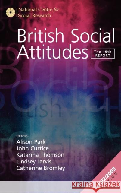 British Social Attitudes: The 19th Report Park, Alison 9780761974543 Sage Publications - książka