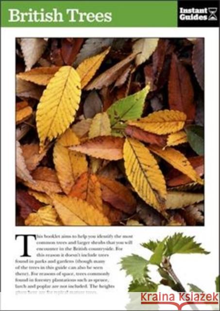 British Trees: The Instant Guide Instant Guides 9781780500089 Icon Books - książka