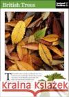 British Trees: The Instant Guide Instant Guides 9781780500089 Icon Books