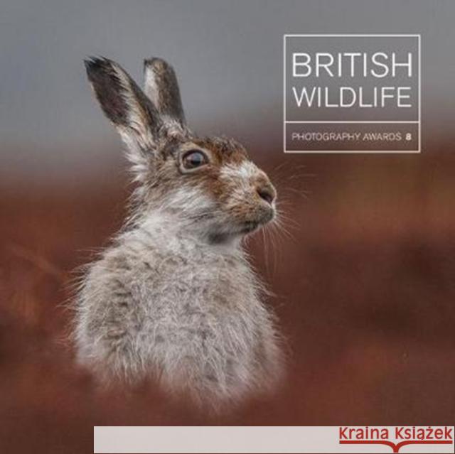 British Wildlife Photography Awards 8 Maggie Gowan 9781781453193 GMC Publications - książka