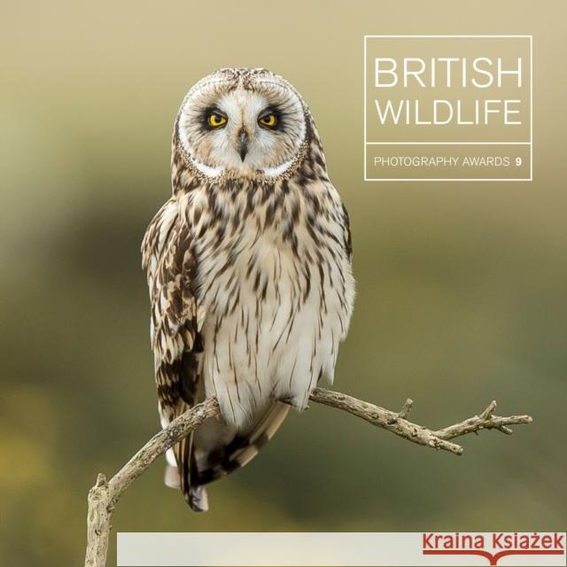 British Wildlife Photography Awards 9 Maggie Gowan 9781781453445 Ammonite Press - książka