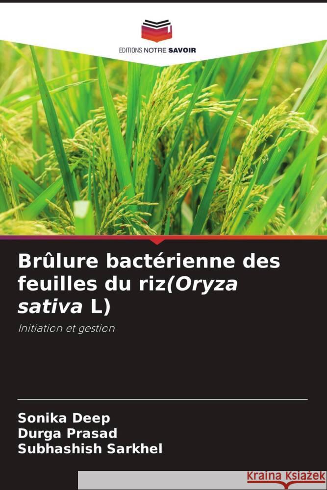 Br?lure bact?rienne des feuilles du riz(Oryza sativa L) Sonika Deep Durga Prasad Subhashish Sarkhel 9786207005819 Editions Notre Savoir - książka