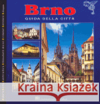 Brno - guida della citta Aleš Filip 9788090250482 K - public - książka