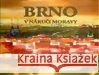 Brno v náruči Moravy Zdeněk Bláha 9788073541460 Šimon Ryšavý  - książka