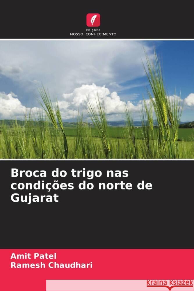 Broca do trigo nas condi??es do norte de Gujarat Amit Patel Ramesh Chaudhari 9786207193974 Edicoes Nosso Conhecimento - książka