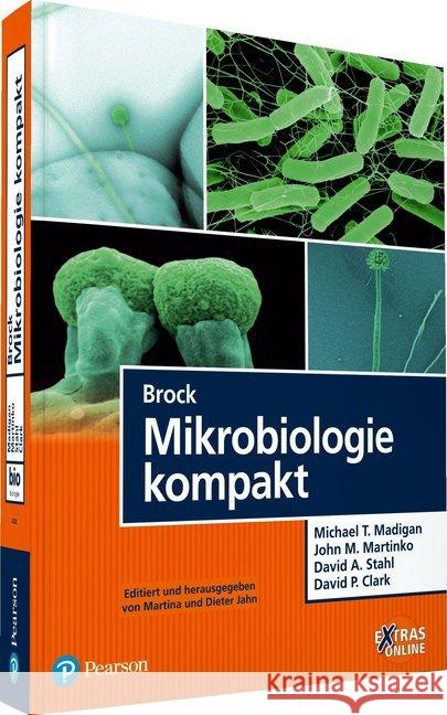 Brock Mikrobiologie kompakt : Extras online  9783868942606 Pearson Studium - książka