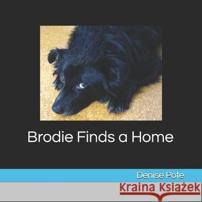 Brodie Finds a Home: Book 1 Denise Pote 9781500155551 Createspace Independent Publishing Platform - książka