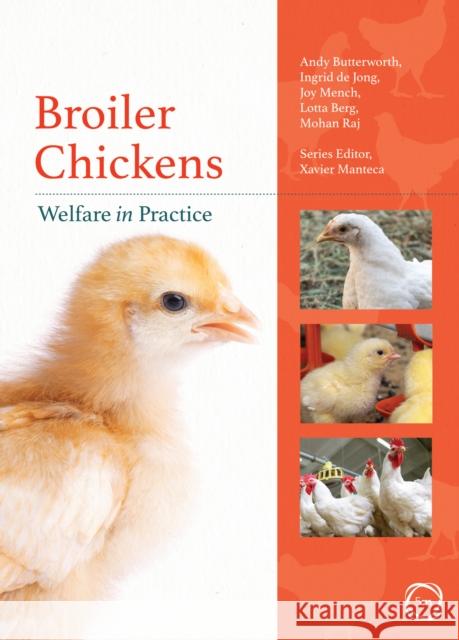 Broiler Chickens Welfare in Practice Andy Butterworth 9781789180152 5M Books Ltd - książka