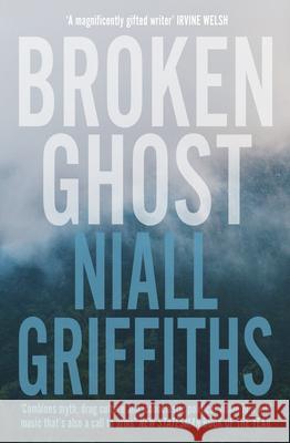 Broken Ghost Niall Griffiths 9780099583776 Vintage Publishing - książka
