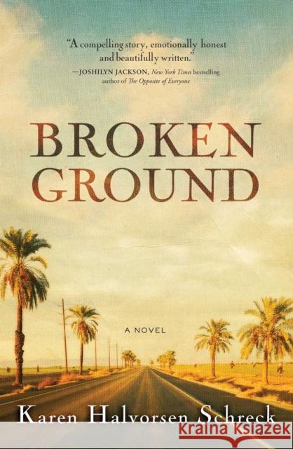 Broken Ground Karen Halvorsen Schreck 9781476794839 Howard Books - książka