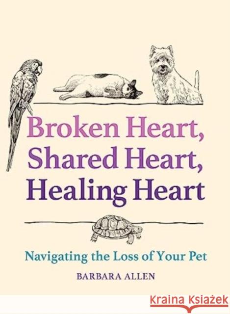 Broken Heart, Shared Heart, Healing Heart: Navigating the Loss of Your Pet Barbara Allen 9781506493565 Broadleaf Books - książka