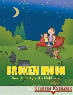 Broken Moon Ash, Tamela 9781949570359 Book Thoughts Publishing - książka