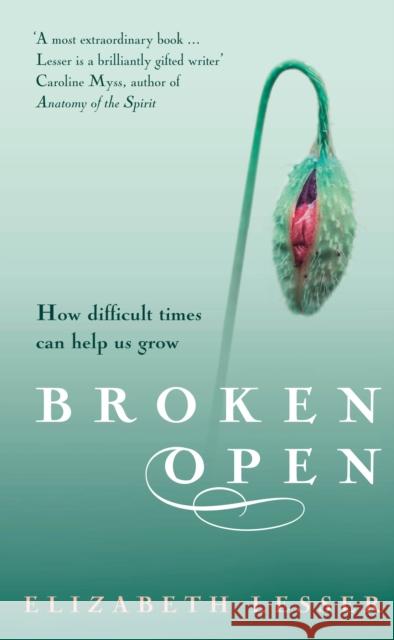 Broken Open: How difficult times can help us grow Elizabeth Lesser 9781844135615 Vintage Publishing - książka