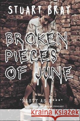 Broken pieces of June Stuart Drake Bray   9798415109135 Independently Published - książka