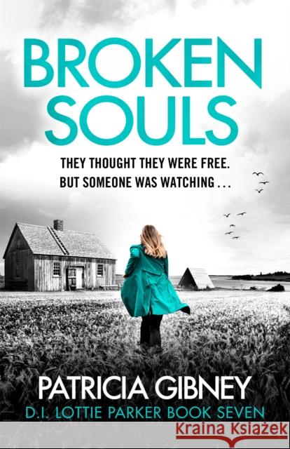 Broken Souls: An absolutely addictive mystery thriller with a brilliant twist Patricia Gibney 9780751582673 Little, Brown Book Group - książka