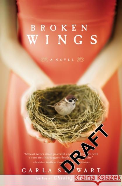 Broken Wings Carla Stewart 9780446556569 Faithwords - książka
