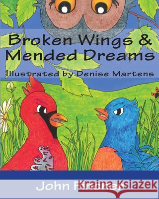 Broken Wings & Mended Dreams John Fincher 9781495317590 Createspace - książka