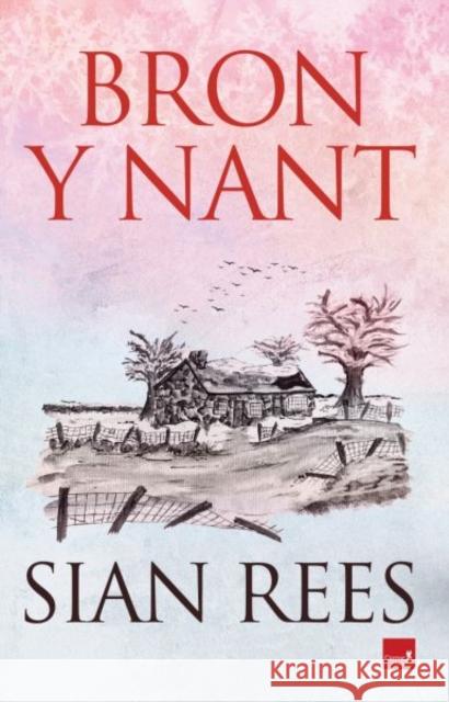 Bron y Nant Sian Rees 9781845279639 Gwasg Carreg Gwalch - książka
