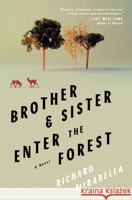 Brother & Sister Enter the Forest: A Novel Richard Mirabella 9781646221172 Catapult - książka