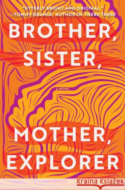 Brother, Sister, Mother, Explorer: A Novel Jamie Figueroa 9781948226882 Catapult - książka