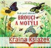 Brouci a motýli - Kuk pod okénko Nat Hues 9788025626665 Svojtka & Co. - książka