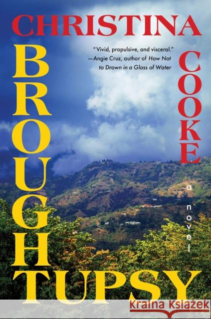 Broughtupsy: A Novel Christina Cooke 9781646221882 Catapult - książka