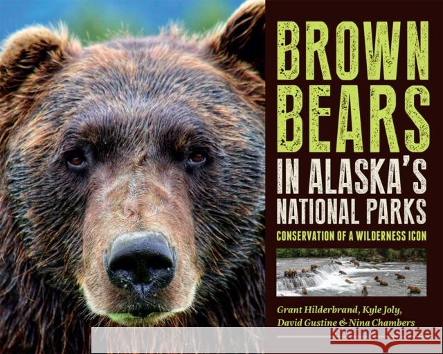 Brown Bears in Alaska's National Parks: Conservation of a Wilderness Icon Grant V. Hilderbrand Kyle Joly David D. Gustine 9781646427093 University of Alaska Press - książka