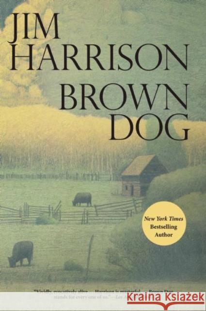 Brown Dog: Novellas Jim Harrison 9780802122865 Grove Press - książka