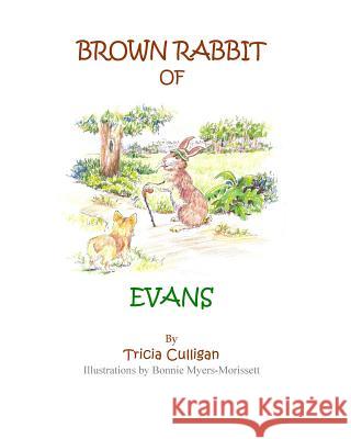 Brown Rabbit of Evans Tricia Culligan 9781490529134 Createspace - książka