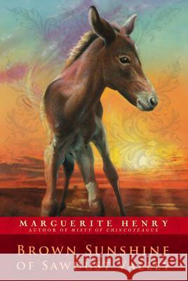 Brown Sunshine of Sawdust Valley Marguerite Henry Bonnie Shields 9780689807794 Aladdin Paperbacks - książka