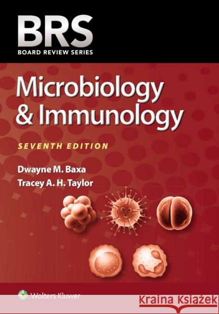 Brs Microbiology & Immunology Tracey A. H., PhD Taylor 9781975220457 LWW - książka