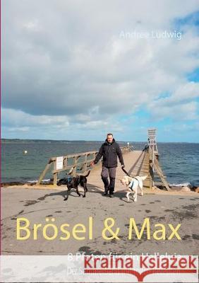 Brösel & Max: 8 Pfoten für ein Halleluja Andree Ludwig 9783749480999 Books on Demand - książka